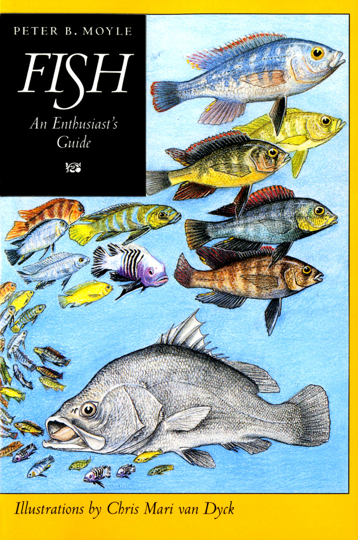 Cover image for Fish ISBN 9780520201651